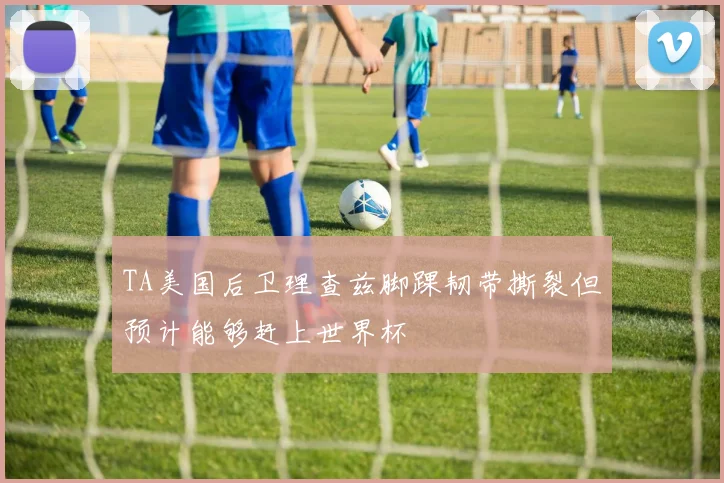 TA美国后卫理查兹脚踝韧带撕裂但预计能够赶上世界杯